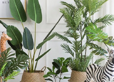 仿真植物挑選