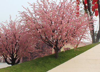 仿真桃花