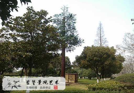 仿真基站樹優(yōu)點