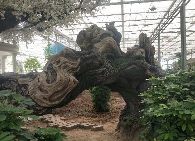 仿真桃花大樹古樹