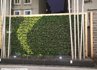 希爾頓酒店真植物墻