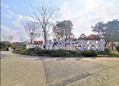 北湖生態(tài)公園綠雕