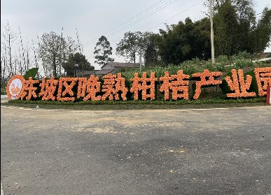 柑橘產(chǎn)業(yè)園廣告綠雕