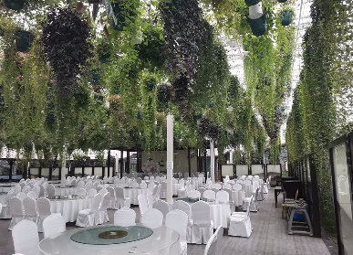 黃龍溪森林餐廳造景