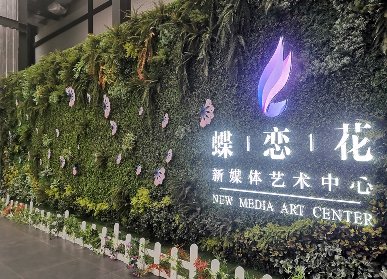 蝶戀花仿真植物墻