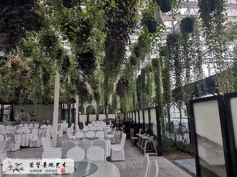黃龍溪森林餐廳植物造景
