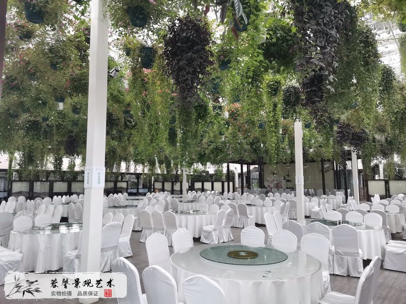 黃龍溪森林餐廳植物造景