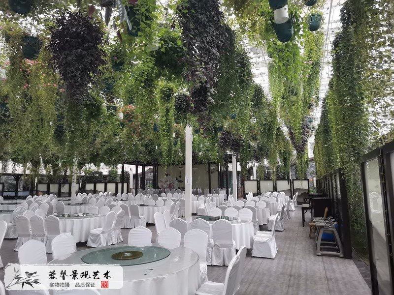 黃龍溪森林餐廳植物造景