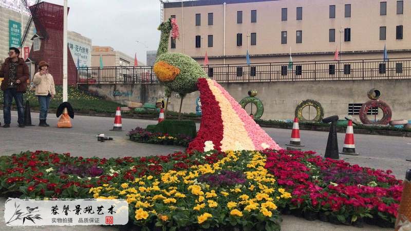 遂寧花卉節(jié) (2).jpg