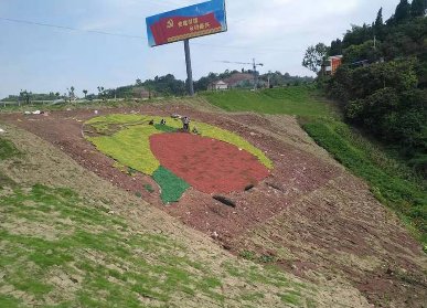 宜賓大塔生態(tài)景觀