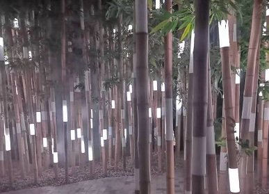 鮮花谷竹藝景觀