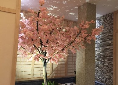 湯樂源溫泉仿真櫻花樹