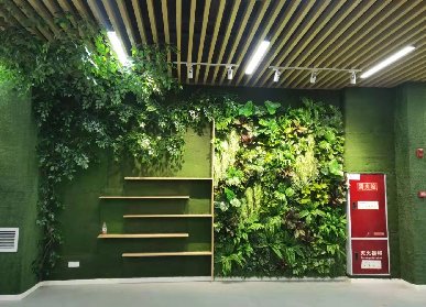 仿真植物墻的市場價(jià)值
