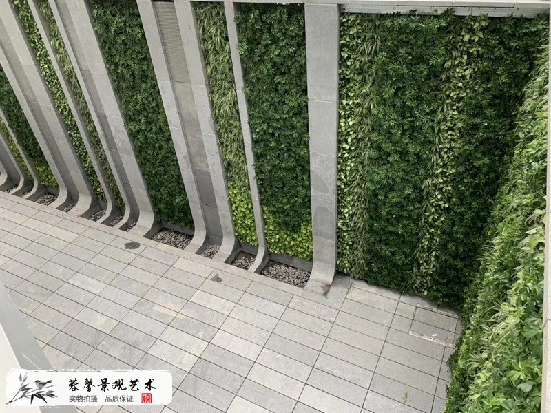 珠海橫琴圍墻植物墻