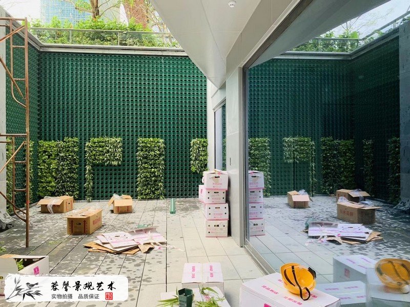 珠海橫琴圍墻植物墻