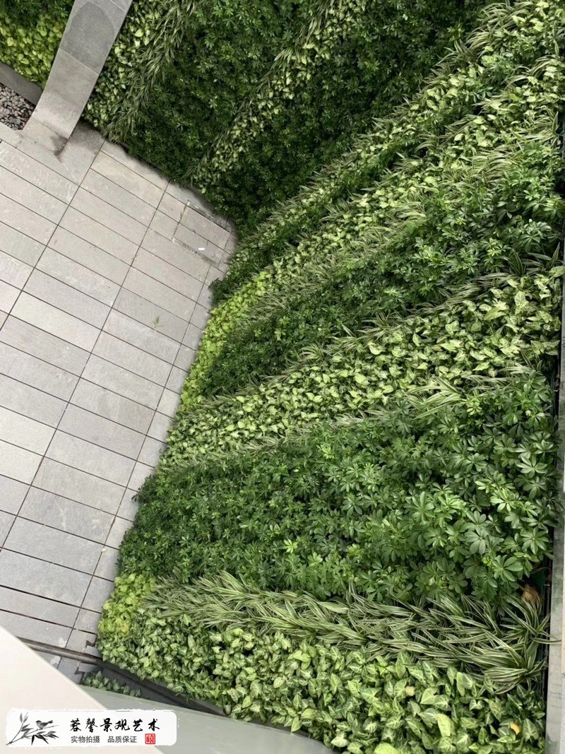 珠海橫琴圍墻植物墻