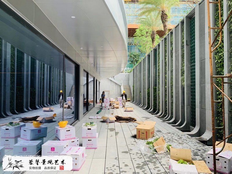 珠海橫琴圍墻植物墻