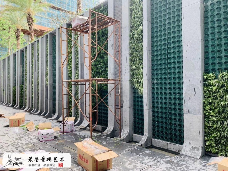 珠海橫琴圍墻植物墻