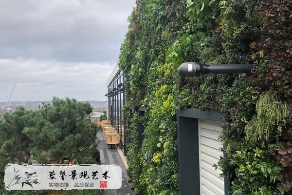 樹屋酒店植物墻