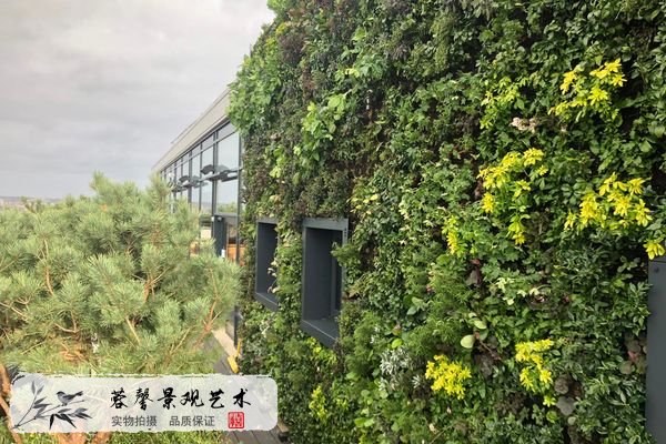 樹屋酒店植物墻
