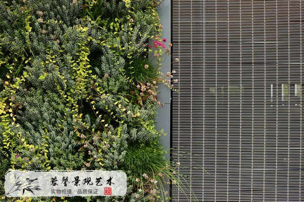 商業(yè)園外墻植物墻