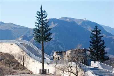 仿真松樹避雷