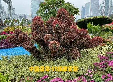 珊瑚礁仿真綠雕