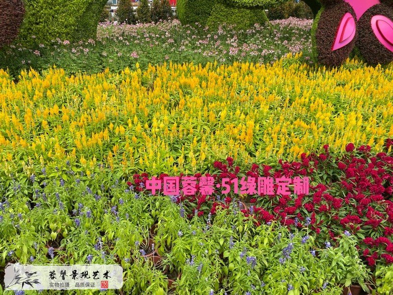花朵立體花壇
