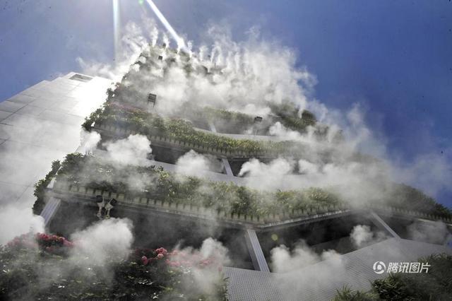 高樓垂直綠化