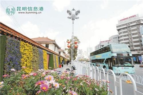 垂直綠化綠植