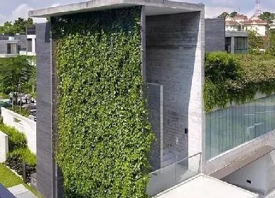 能呼吸的建筑