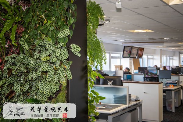 垂直綠化墻成本