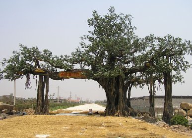 休閑農(nóng)莊仿真大門