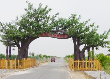 農(nóng)業(yè)園仿真樹大門