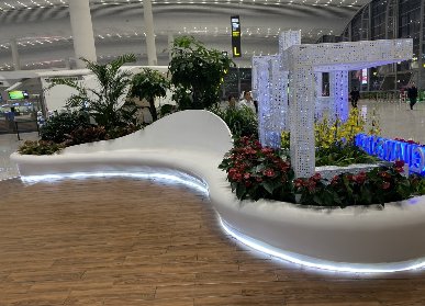 機(jī)場垂直綠化