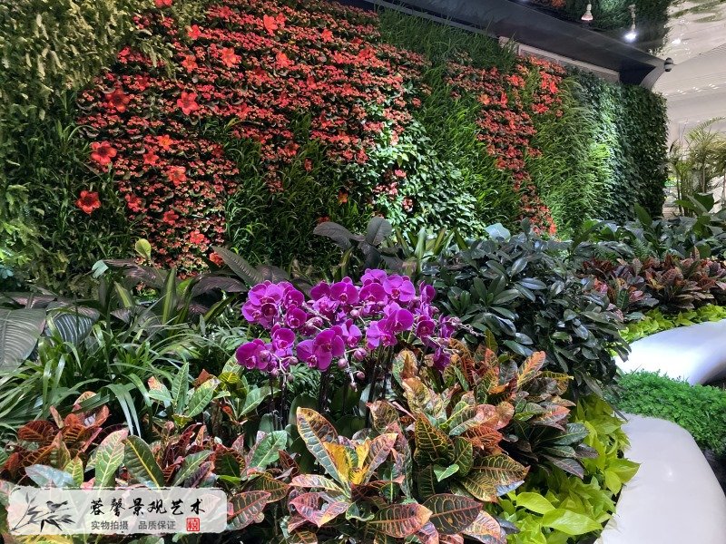 廣州機(jī)場(chǎng)室內(nèi)生態(tài)景觀(guān)垂直綠化