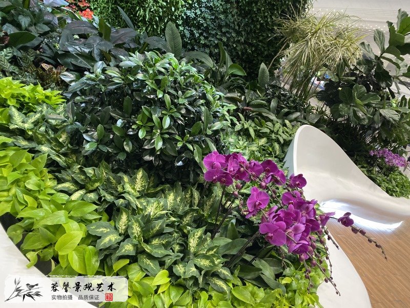 廣州機(jī)場(chǎng)室內(nèi)生態(tài)景觀(guān)垂直綠化