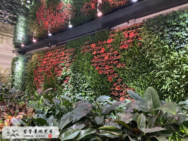 廣州機(jī)場(chǎng)室內(nèi)生態(tài)景觀(guān)垂直綠化