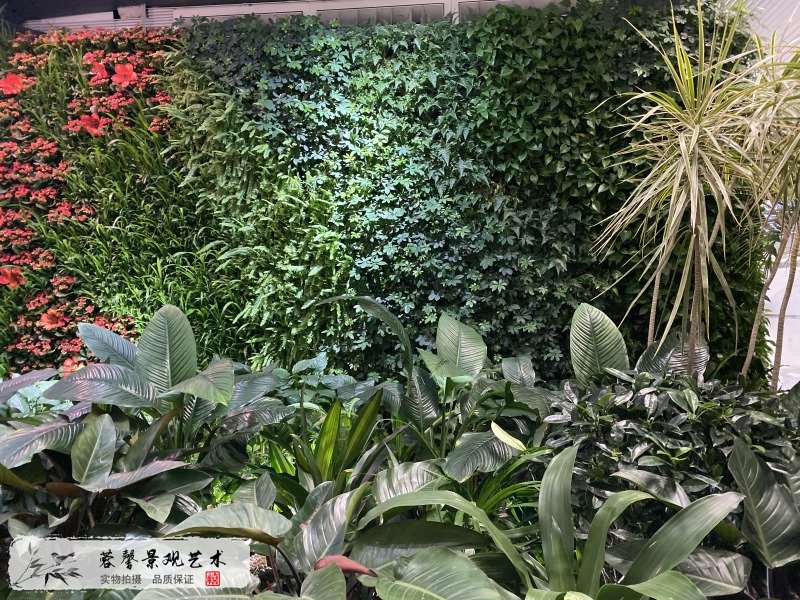 廣州機(jī)場(chǎng)室內(nèi)生態(tài)景觀(guān)垂直綠化