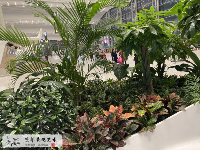 廣州機(jī)場(chǎng)室內(nèi)生態(tài)景觀(guān)垂直綠化