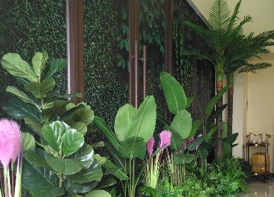 售樓部綠植美陳