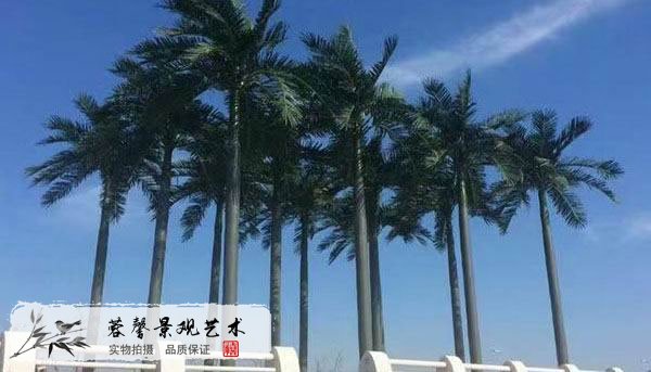 城市綠化仿真樹(shù)