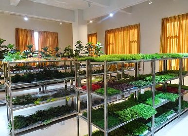 仿真植物是什么