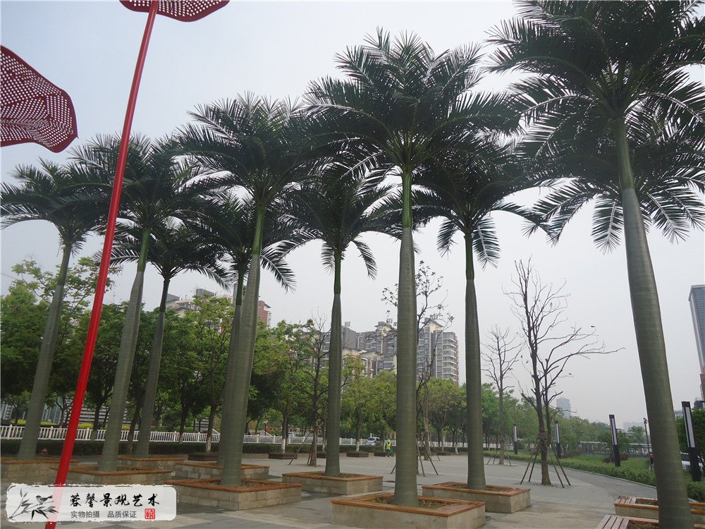 仿真樹保養(yǎng)方法