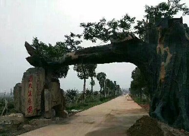 仿真榕樹風(fēng)水