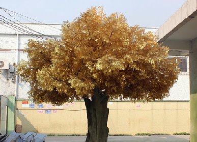 假樹仿真樹價格