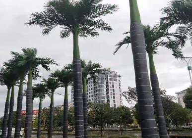 室外仿真樹