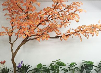 仿真紅楓樹廠家