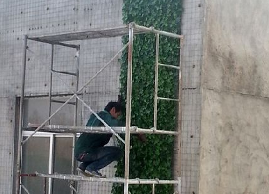 仿真植物墻安裝