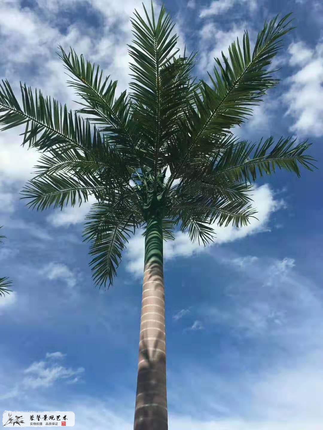 深圳哪里有仿真樹賣
